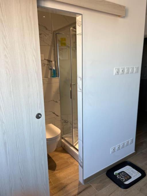 Super Studio En Face De La Gare De Mulhouse Apartment Екстериор снимка