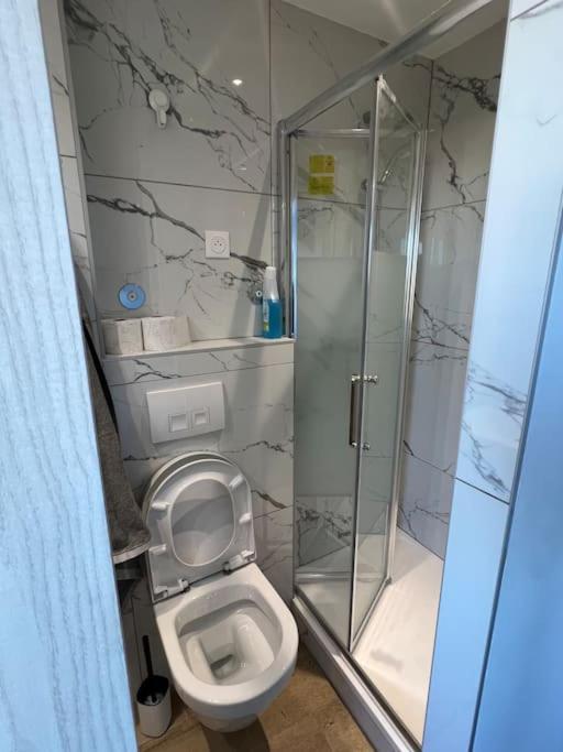 Super Studio En Face De La Gare De Mulhouse Apartment Екстериор снимка