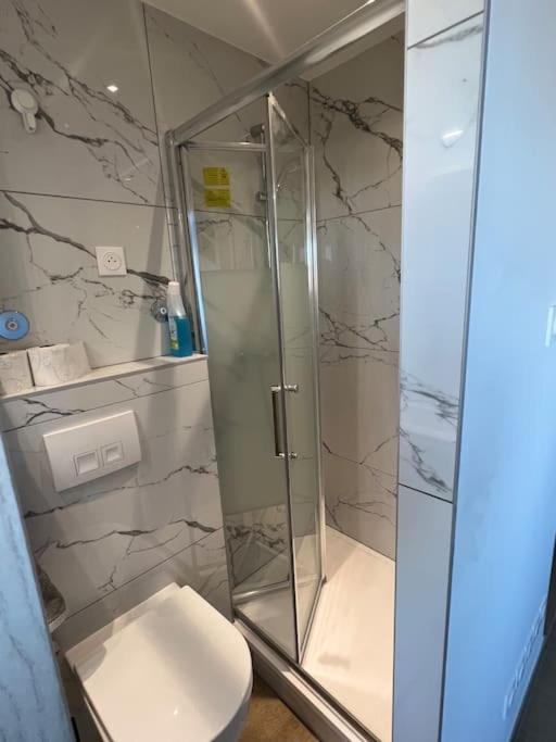 Super Studio En Face De La Gare De Mulhouse Apartment Екстериор снимка